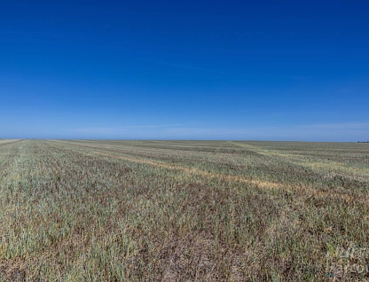 Lot 294 Gun Club Road, Koolywurtie, Barossa - Yorke - Mid North, 0 غرف, 0 حمامات, Lifestyle Property