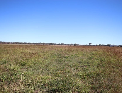 244 A Creek Road, Eidsvold, QLD 4627, 3 Kuwarto, 1 Banyo, Lifestyle Property