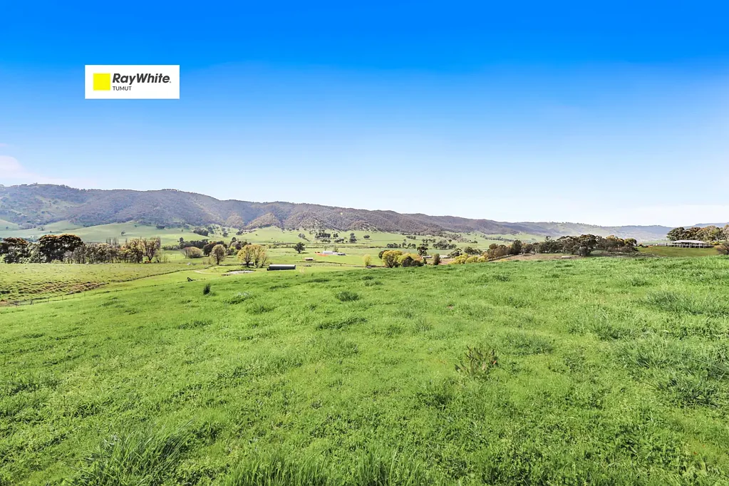Tumut Rural Holding!