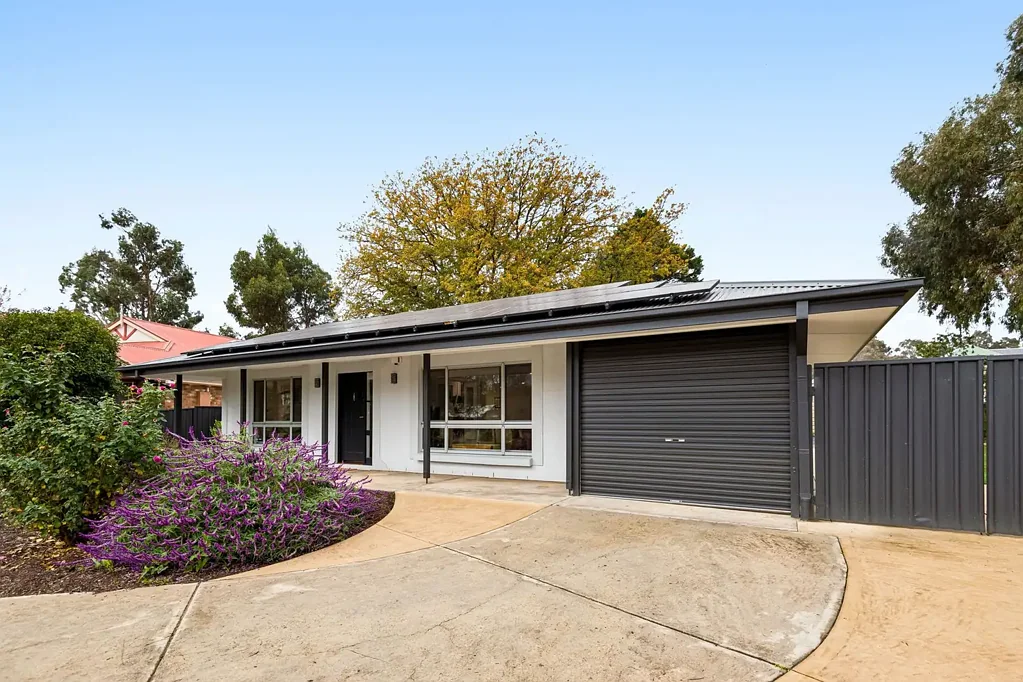 Oakbank 4房  Live and Thrive in a Full-Scale Reboot that Hits an Entertaining Home Run.