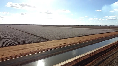 地址保密, Narromine, NSW 2821, 4房, 1浴, Lifestyle Property