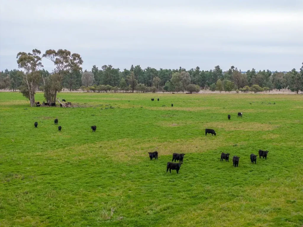 Coolamon  'Lyndhurst' 399.6 hectares north of Coolamon NSW