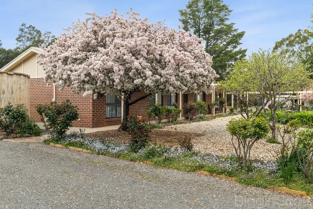 492 Maldon Newstead Road, Welshmans Reef, VIC 3462