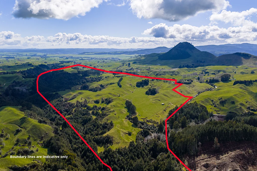 Whakamaru Dairy support and grazing opportunity