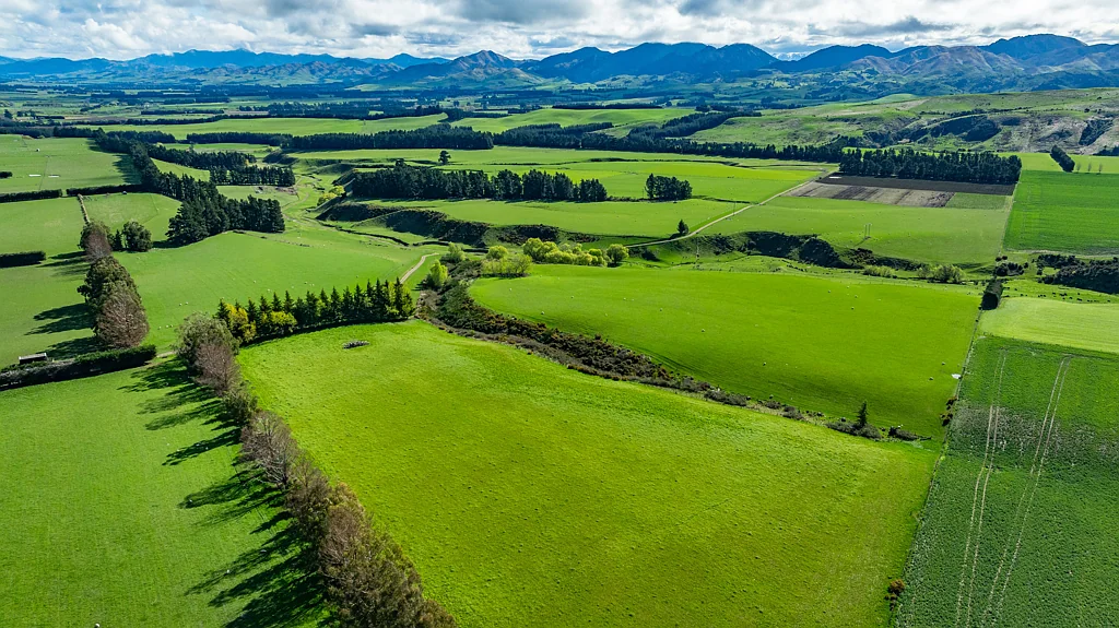 Waiau  Multiple Farming Options Available Here