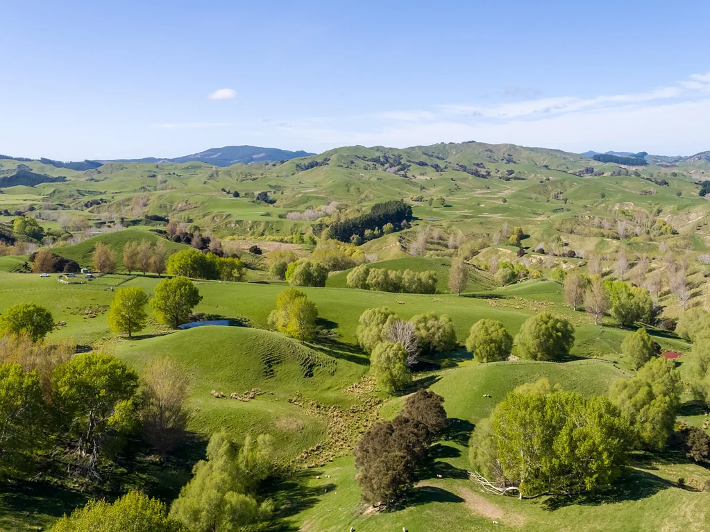 Masterton  Hill Country Opportunity