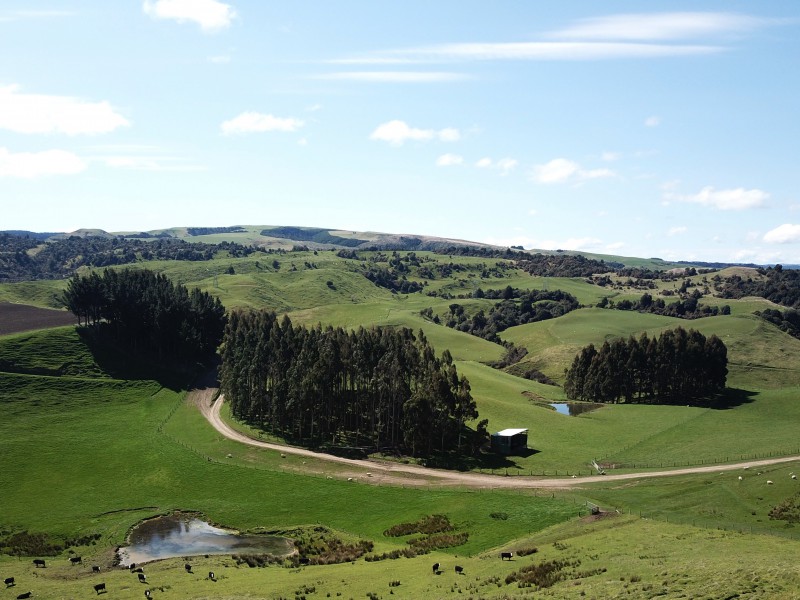 87 Stewarts Loop Road, Taihape and Surrounds, Rangitikei, 0 Schlafzimmer, 0 Badezimmer