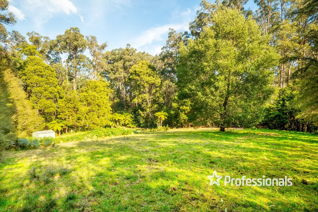 7 Blackwood Road, East Warburton, VIC 3799