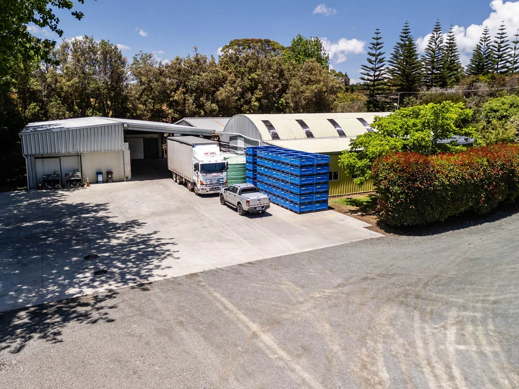 Awanui Present All Offers