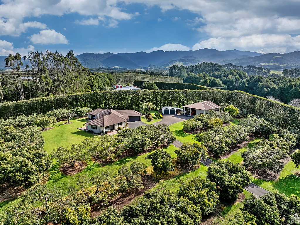 Katikati  Busby Park - Where Your Property Journey Begins