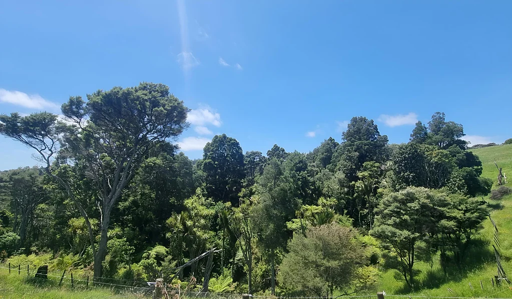 Address Withheld, Helensville, Rodney, Auckland