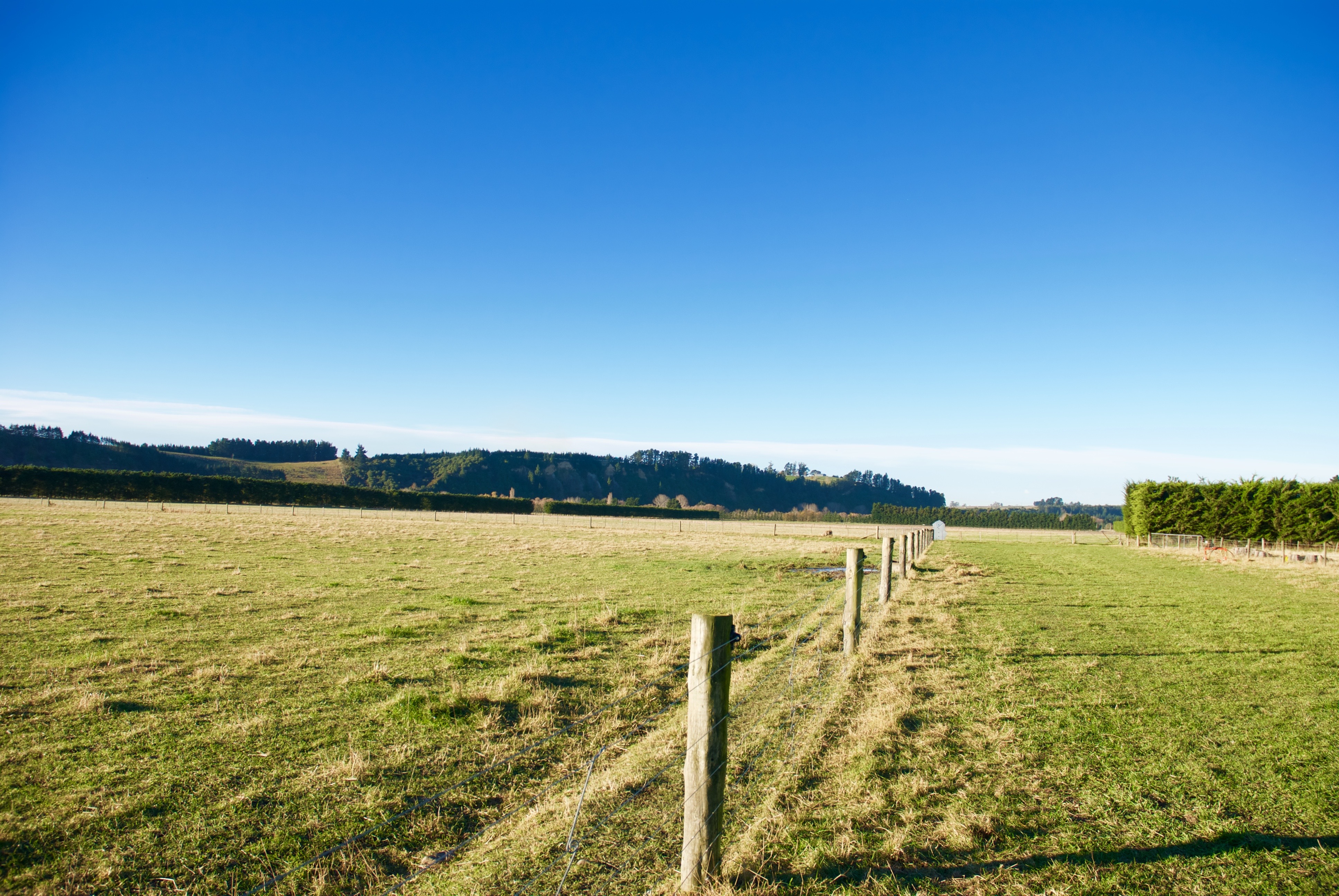 Blue Cliffs Road, Saint Andrews, Waimate, 0 कमरे, 1 बाथरूम