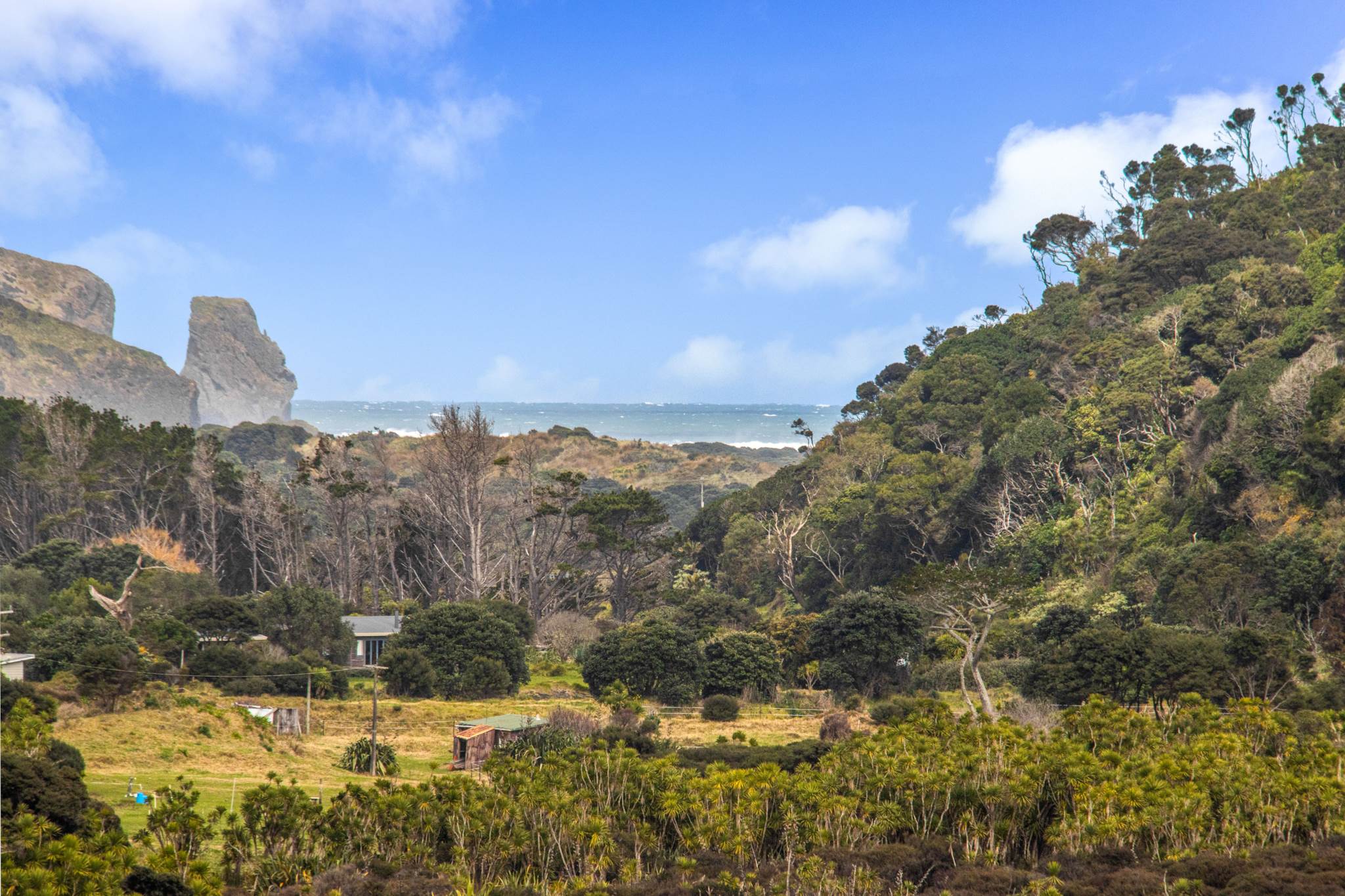 158 Bethells Road, Bethells Beach, photo 16