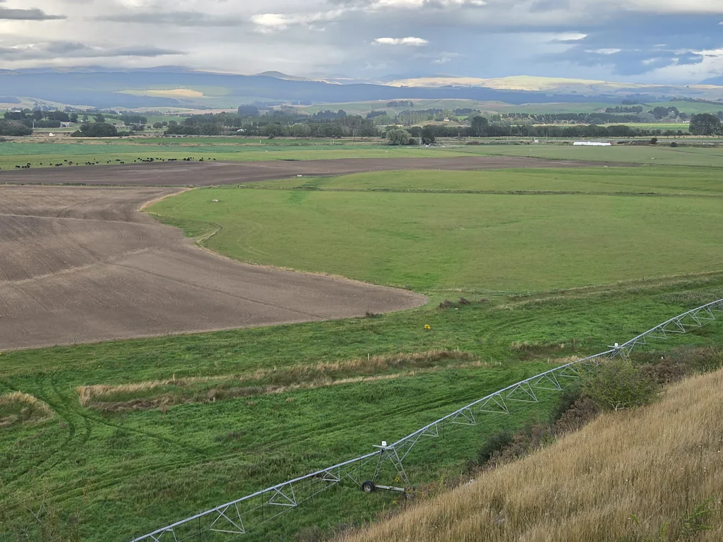 Maheno Prime Irrigated Dairy Support Block