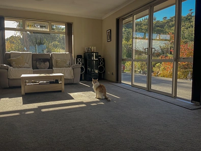 941 Marsden Road, Marsden, Greymouth, West Coast, 3 Bedrooms, 1 Bathrooms, Lifestyle Property