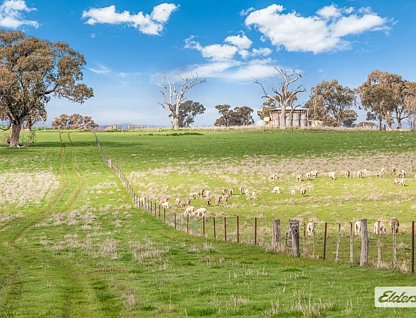  Moorabbee Foreshore Road, Knowsley, Wangaratta, 0 chambres, 0 salles de bain, Lifestyle Property