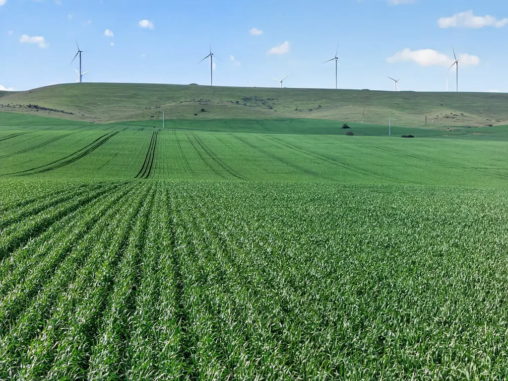 Mundoora Efficient and Easy - Working Northern Yorke Peninsula Cropping Country