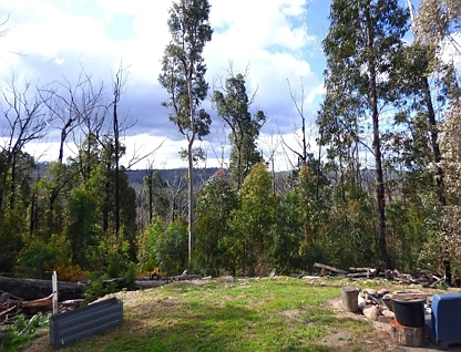 Lot 452 The Snake Track Via Kiah, Eden, South Coast, 0 Schlafzimmer, 0 Badezimmer, Lifestyle Property