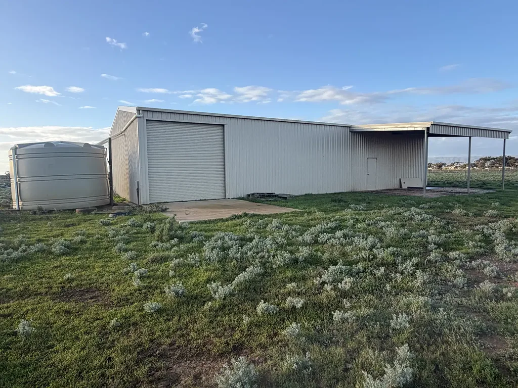 Port Pirie RURAL OPPORTUNITY THIS CLOSE TO TOWN IS RARE