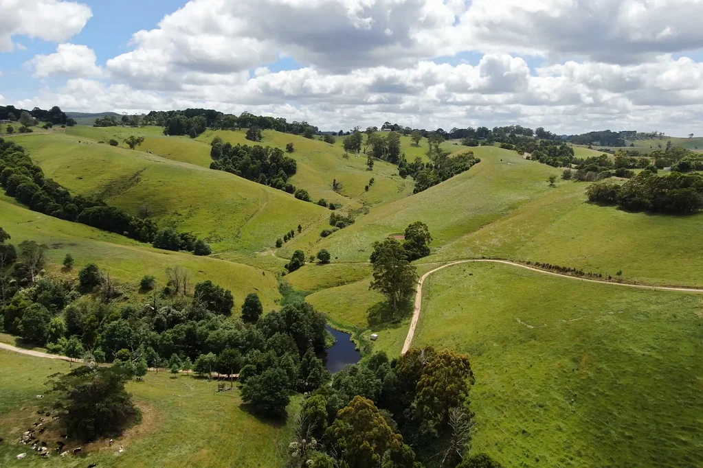 Mount Eccles Grazing | Turnout Block | 181 acres (approx.)