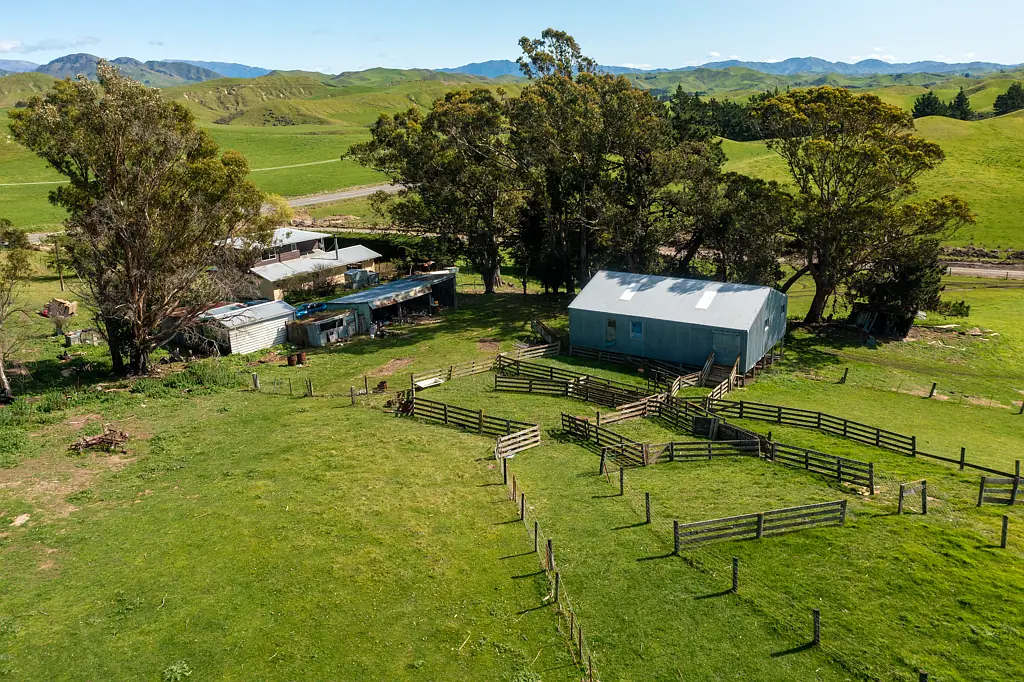 Ward 4 Bedroom Entry Level Sheep Farm