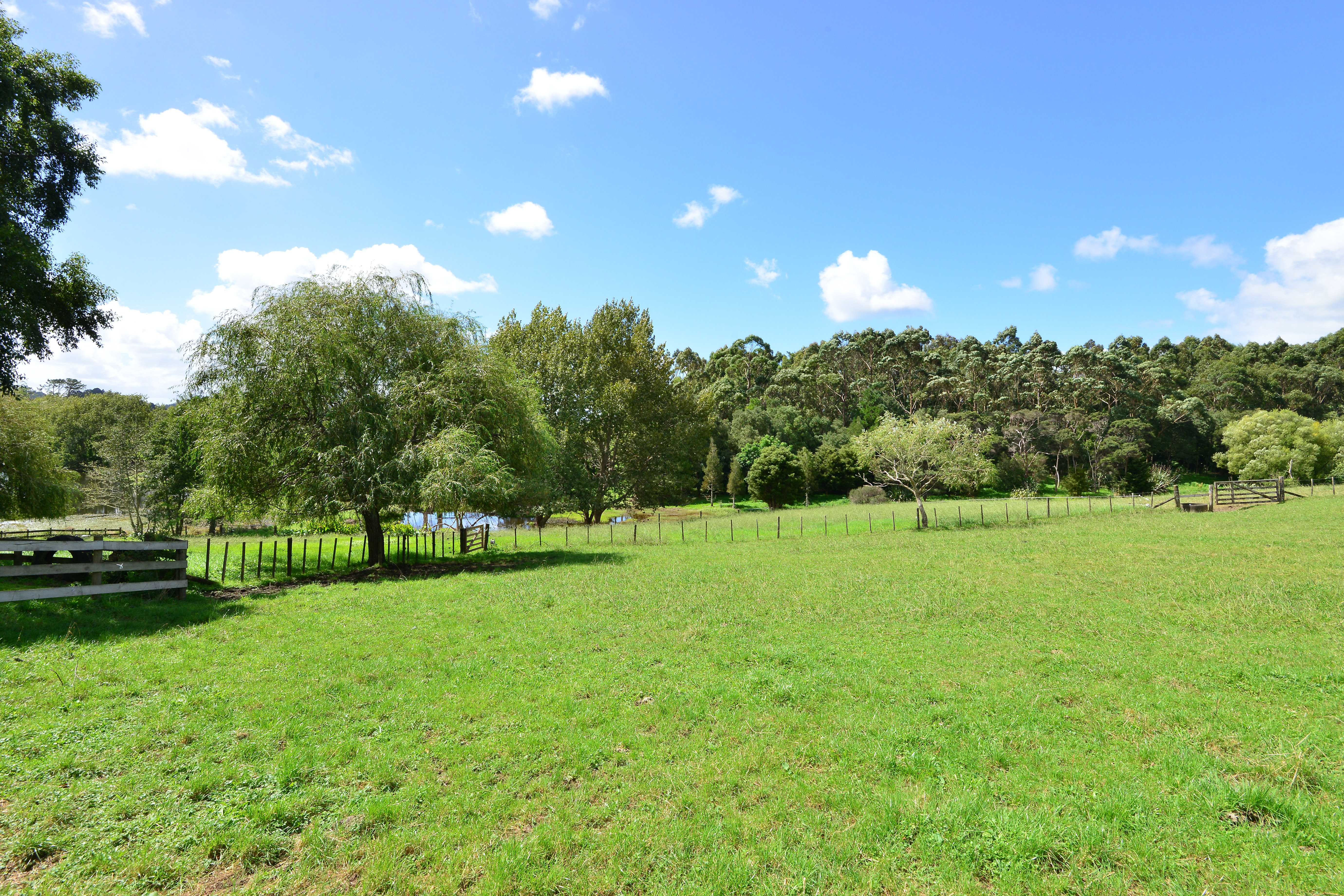 45 Sharon Road, Waitoki, Auckland - Rodney, 0 habitaciones, 0 baños