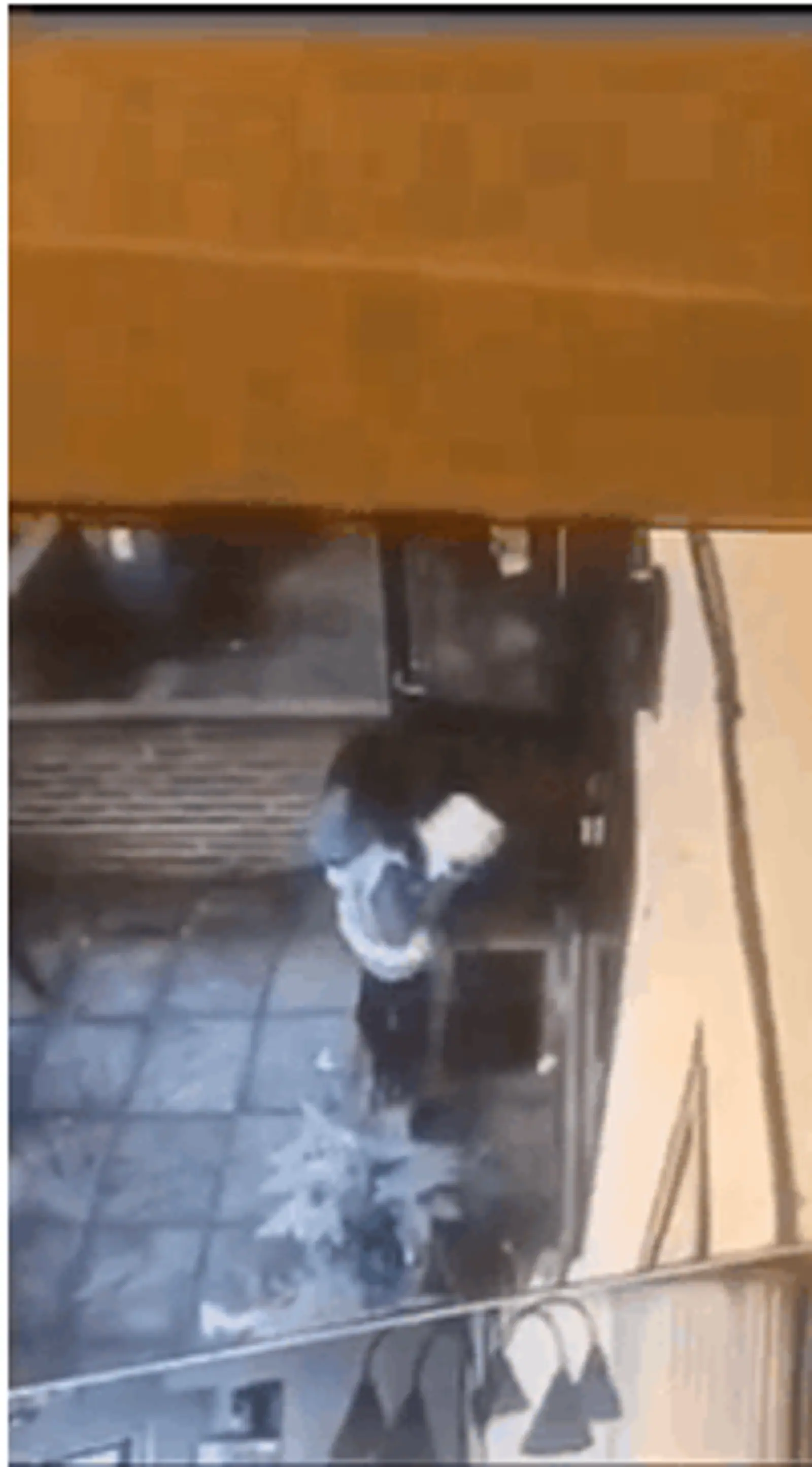 “再也不敢网购了”！视频：女匪扮送货员敲门，2男匪随后入室打劫...