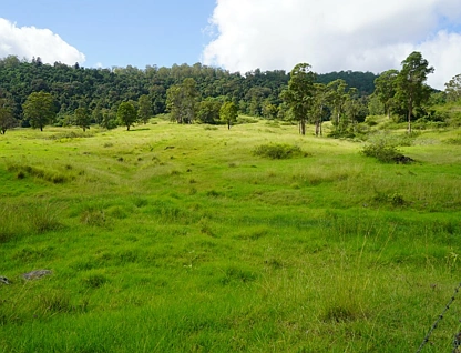 Lot 47 - 807 Tunglebung Creek Road, Casino, North Coast, 0 habitaciones, 0 baños, Lifestyle Property