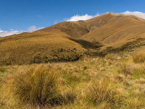 Ranfurly Shortlands; the classic High Country Station