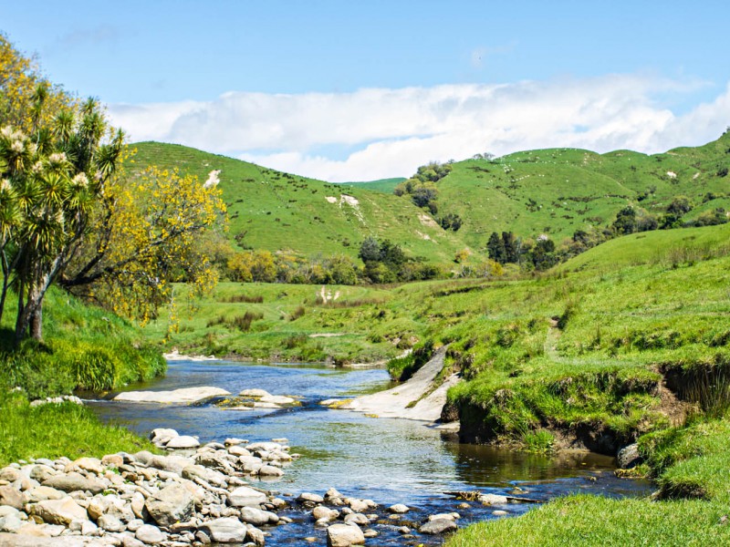 145 Rere Farm Settlement Road, Rere, Gisborne, 0 chambres, 0 salles de bain