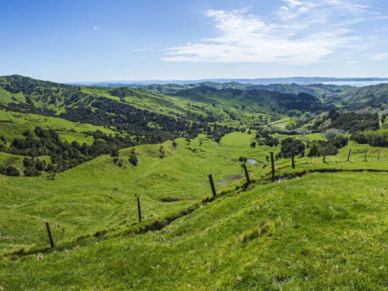 211 Pakowhai Road, Muriwai, Gisborne, 0房, 0浴