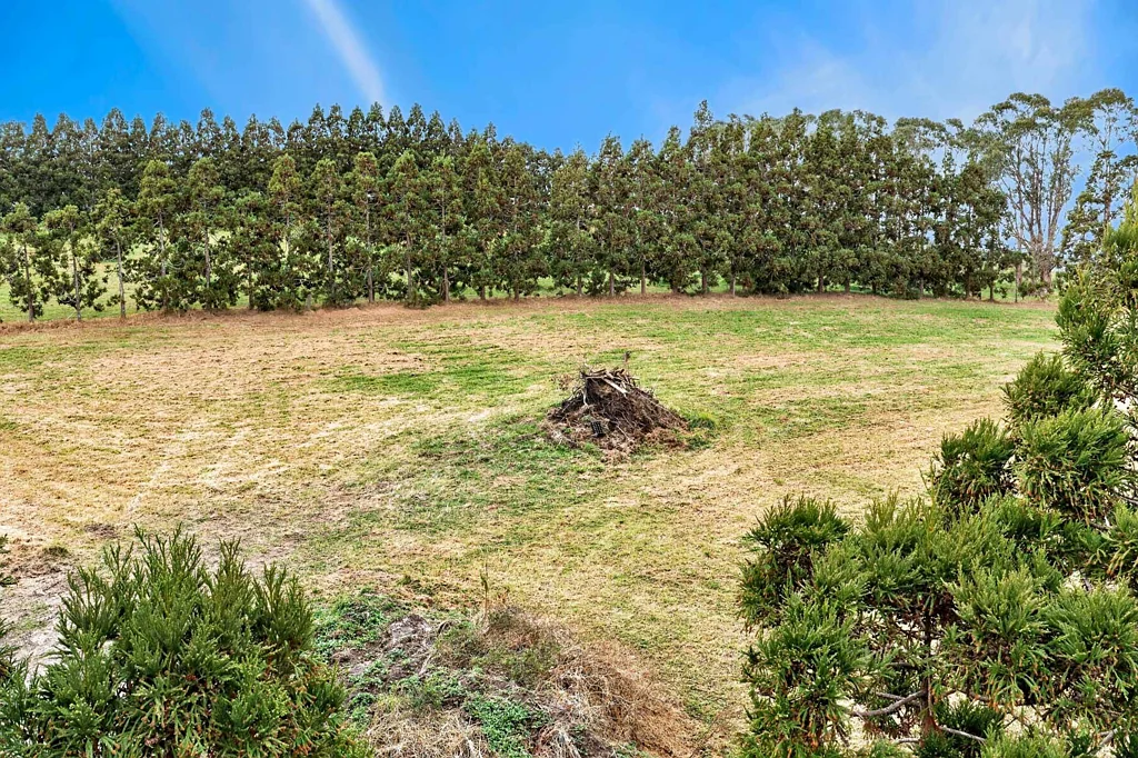 Mangawhai LIFESTYLE BLOCK WITH INCOME POTENTIAL