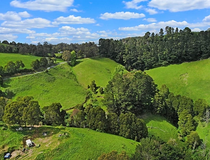Lot 1 Yarragon Leongatha Road, Yarragon, Traralagon , 0 ห้องนอน, 0 ห้องน้ำ, Lifestyle Property