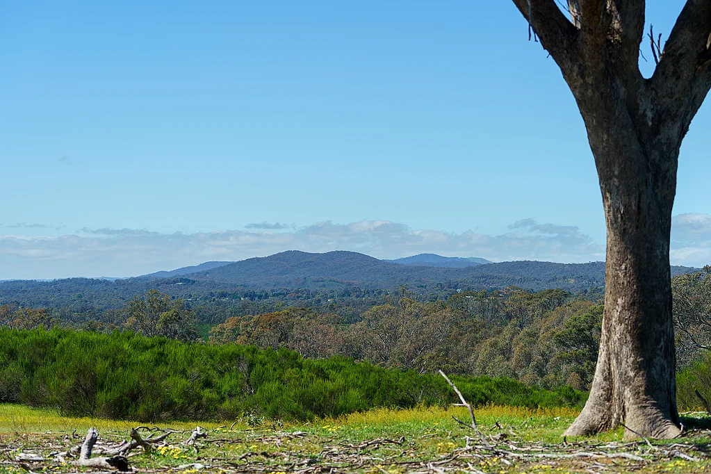 Heathcote  OPPORTUNITY AWAITS!
