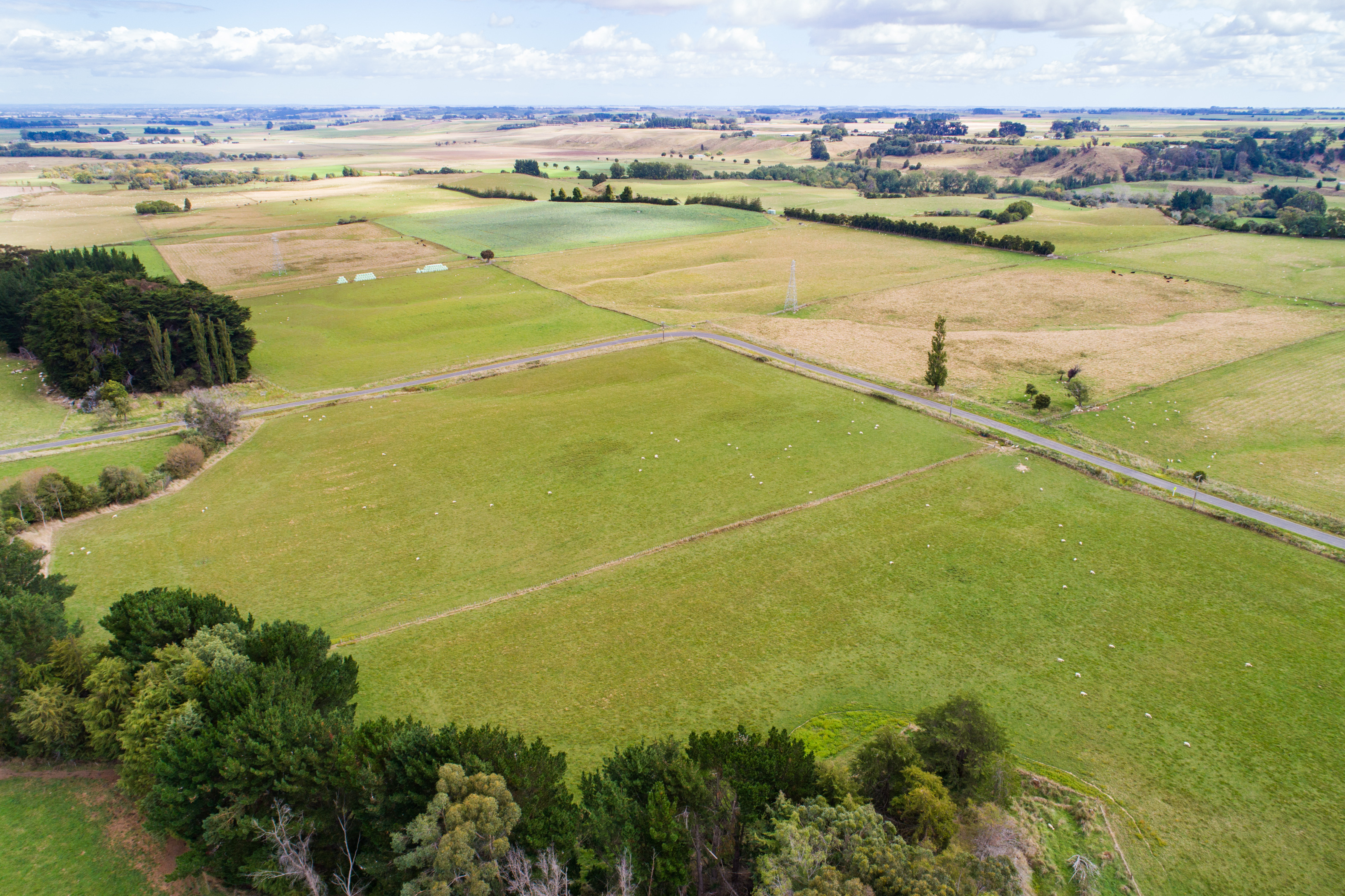 44 Levett Line, Beaconsfield, Manawatu, 0房, 0浴, Lifestyle Property