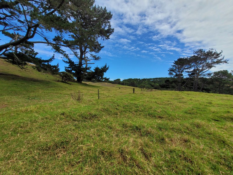 Koremoa Road, Te Kopuru, Kaipara, 0房, 0浴