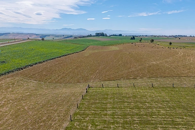 Hadlow Road, Hadlow, Timaru, 0 Bedrooms, 0 Bathrooms, Lifestyle Section