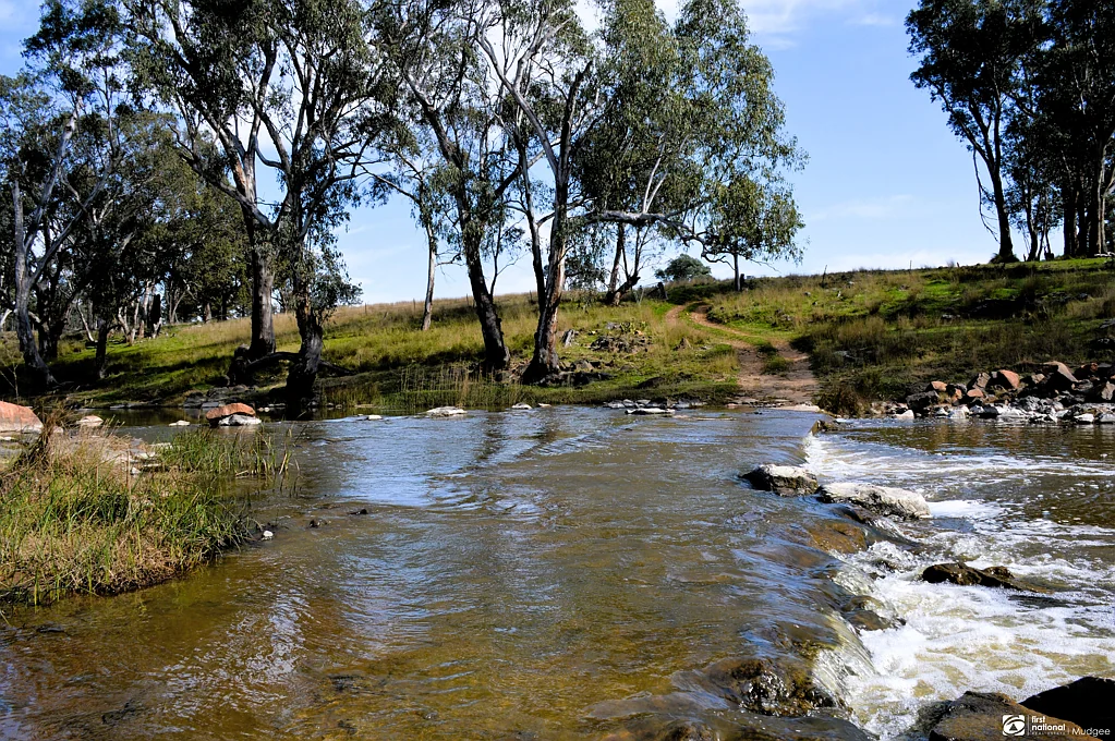The Springs Road, Benolong, Lot 25 in DP 753232, Yeoval, NSW 2868