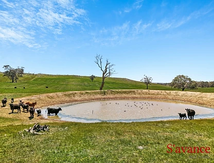 Lot 50 Fendlers Road, Tungkillo, South East, 0 રૂમ, 0 બાથરૂમ, Lifestyle Property