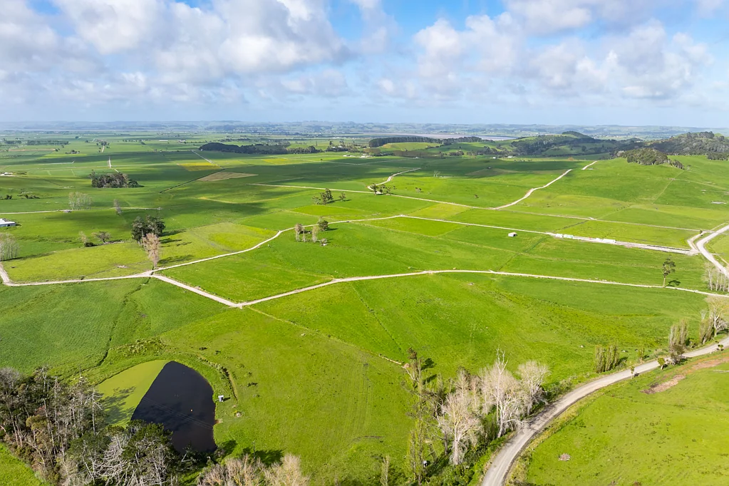 Ruawai  Vendors retiring - prime dairy opportunity