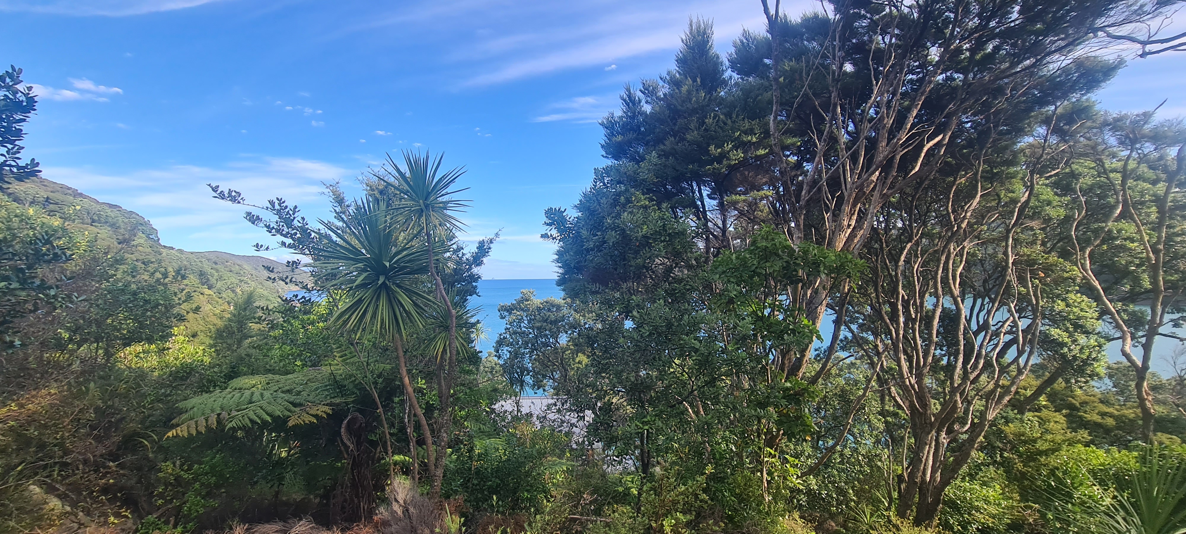 781 Whangaparapara Road, Great Barrier Island (Aotea Island), Auckland, 0 habitaciones, 0 baños, Section