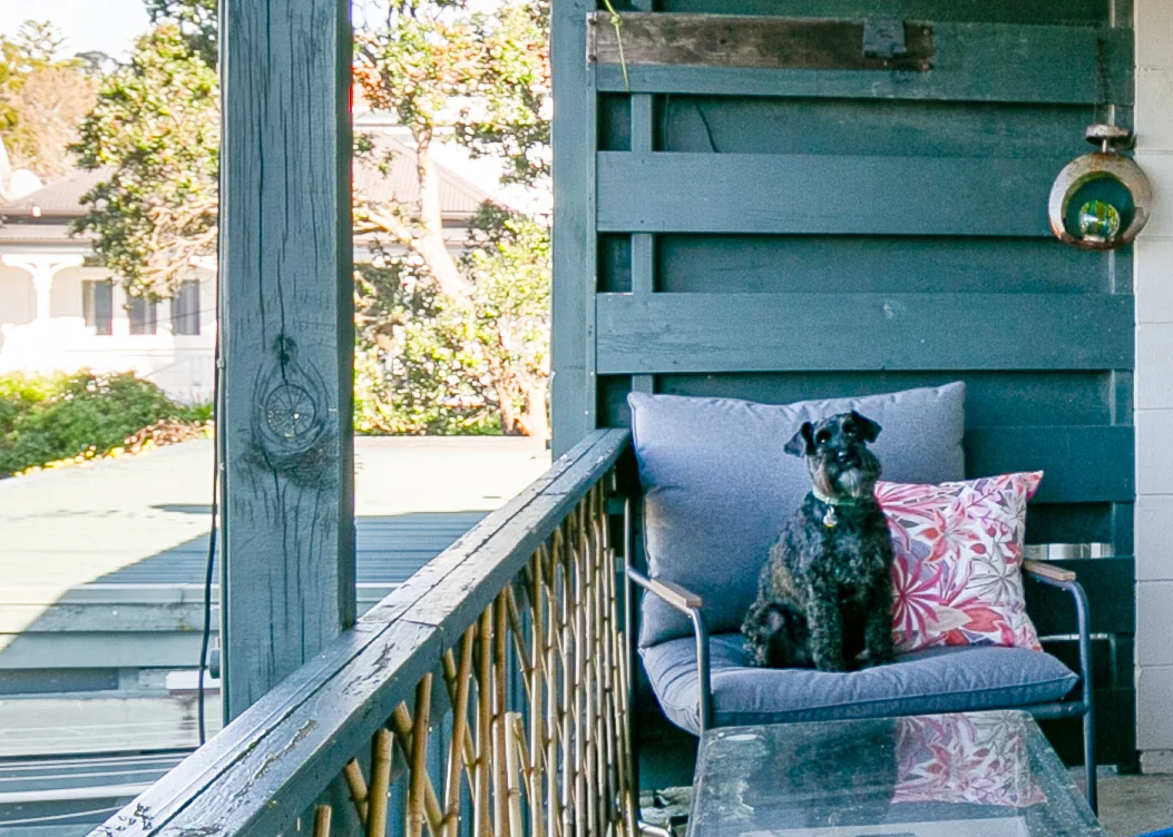 Thorndon 2Phòng ngủ Pet Friendly and Affordable!