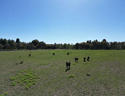 54 Cobrawonga Rd, Cobram East, VIC 3644, 0房, 0浴, Section