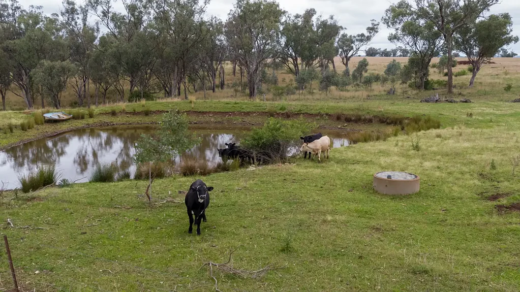 95 Copeton Dam Rd, Inverell, NSW 2360