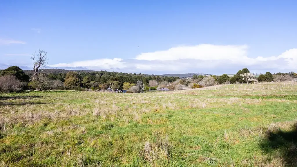 Linton  Price Reduced – Linton's Best Value Blocks