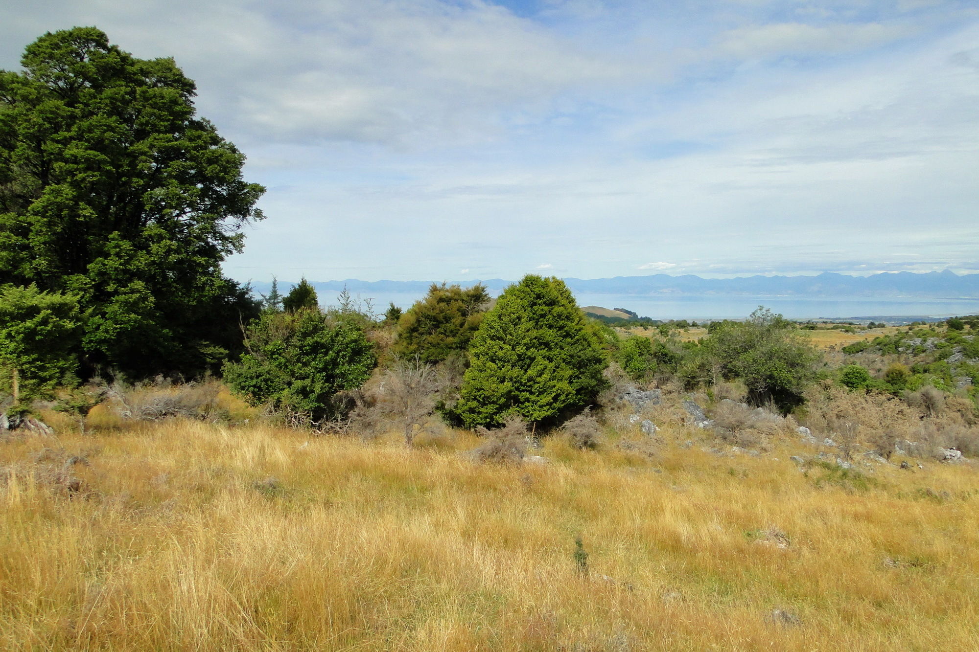 Canaan Road, Kahurangi National Park, Tasman, 0 phòng ngủ, 1 phòng tắm