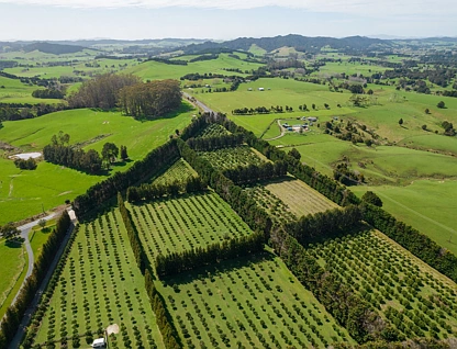 908A Te Ahu Ahu Road, Waimate North, Kerikeri, Far North, 0房, 0浴, 乡村别墅