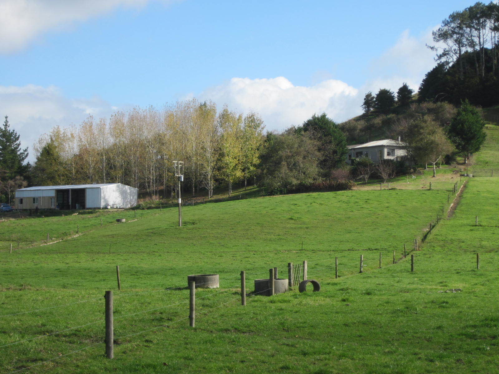 130 Carruth Road, Poroti, Whangarei, 3 રૂમ, 1 બાથરૂમ