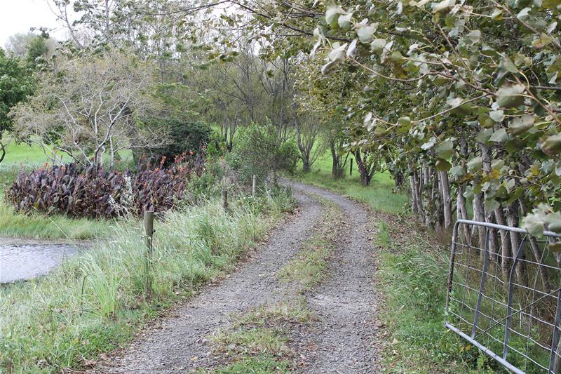 570 Tinopai Road, Tinopai, Kaipara, 4 침실, 0 욕실