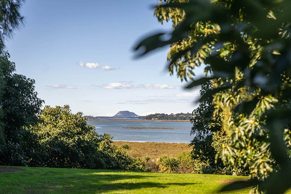 Aongatete Premium Avocado Orchard with Water Views
